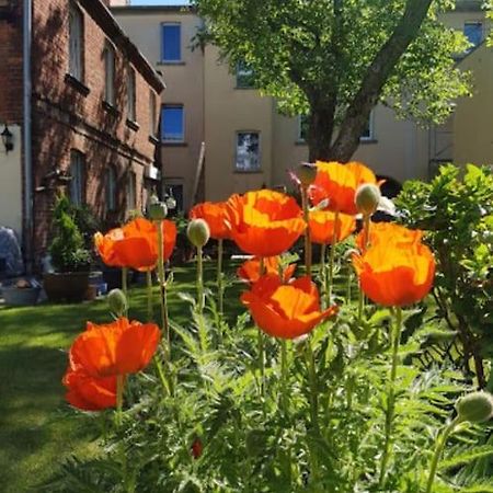 City Appartement Mit Garten, Zentral Und Trotzdem Ruhig Cottbus Ngoại thất bức ảnh