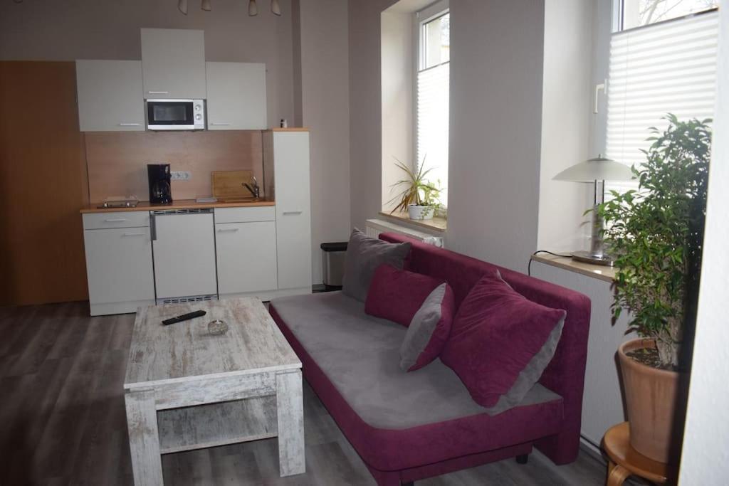 City Appartement Mit Garten, Zentral Und Trotzdem Ruhig Cottbus Ngoại thất bức ảnh