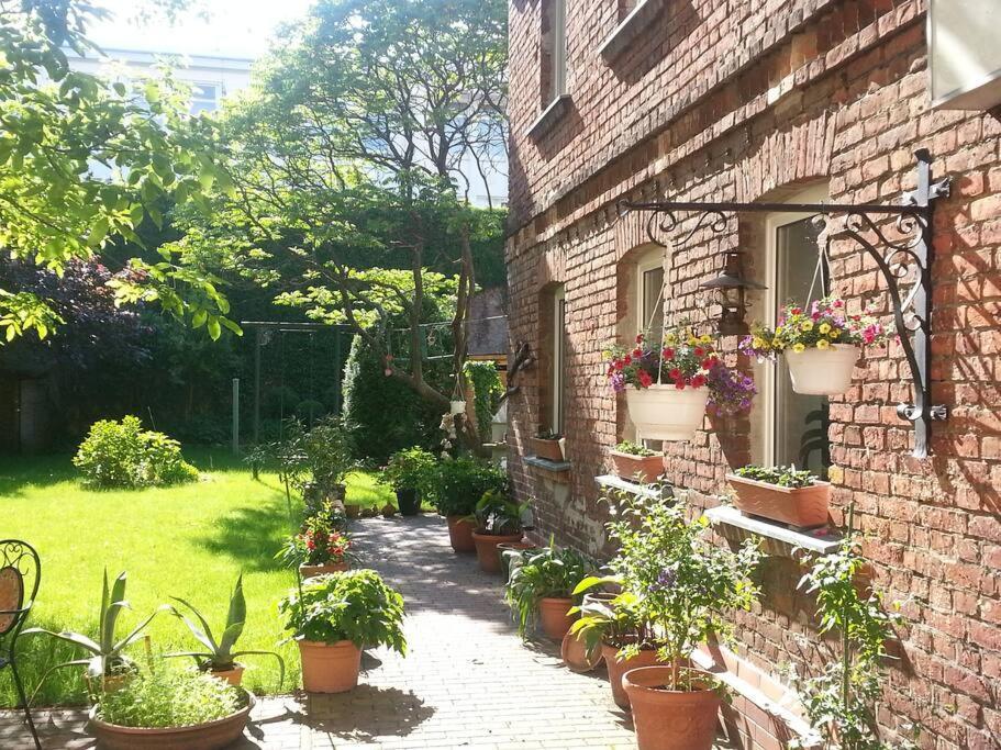 City Appartement Mit Garten, Zentral Und Trotzdem Ruhig Cottbus Ngoại thất bức ảnh