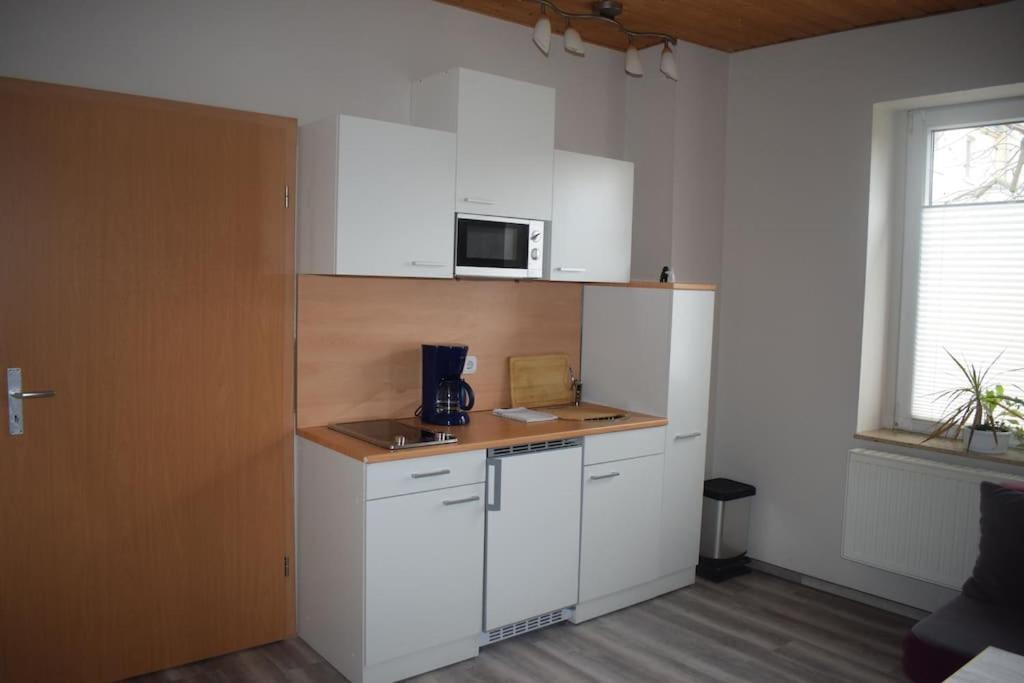City Appartement Mit Garten, Zentral Und Trotzdem Ruhig Cottbus Ngoại thất bức ảnh