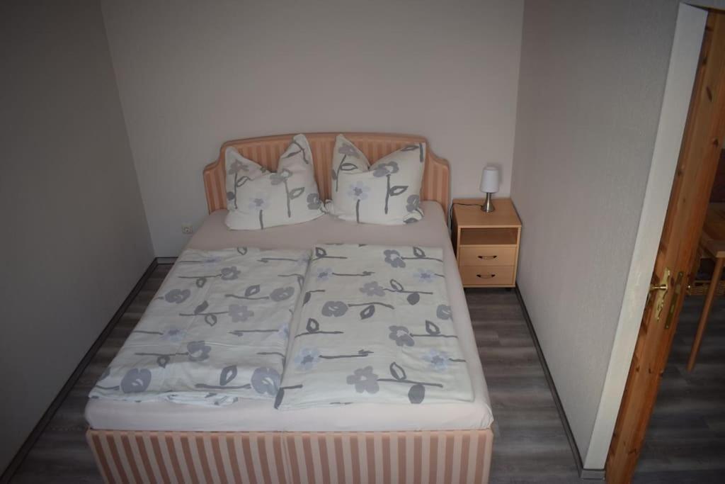 City Appartement Mit Garten, Zentral Und Trotzdem Ruhig Cottbus Ngoại thất bức ảnh