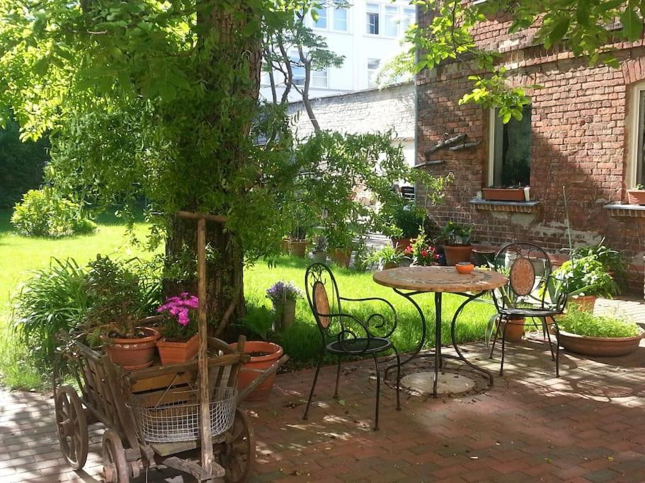 City Appartement Mit Garten, Zentral Und Trotzdem Ruhig Cottbus Ngoại thất bức ảnh